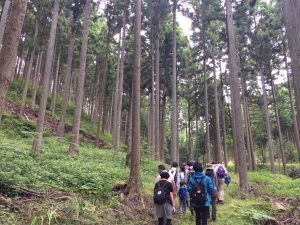 ＜終了しました！＞6/2（土）南三陸・志津川にて、『南三陸杉！』森林見学ツアーを開催しました！