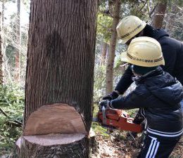 体験型の家づくりしませんか？（南三陸・志津川での建主さん自ら大黒柱伐採体験！）