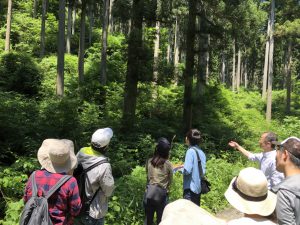 ＜雨のため、中止となりました！＞感動体験イベント！　6/15(土）南三陸・志津川にて『南三陸杉！』森林見学ツアーを開催します！