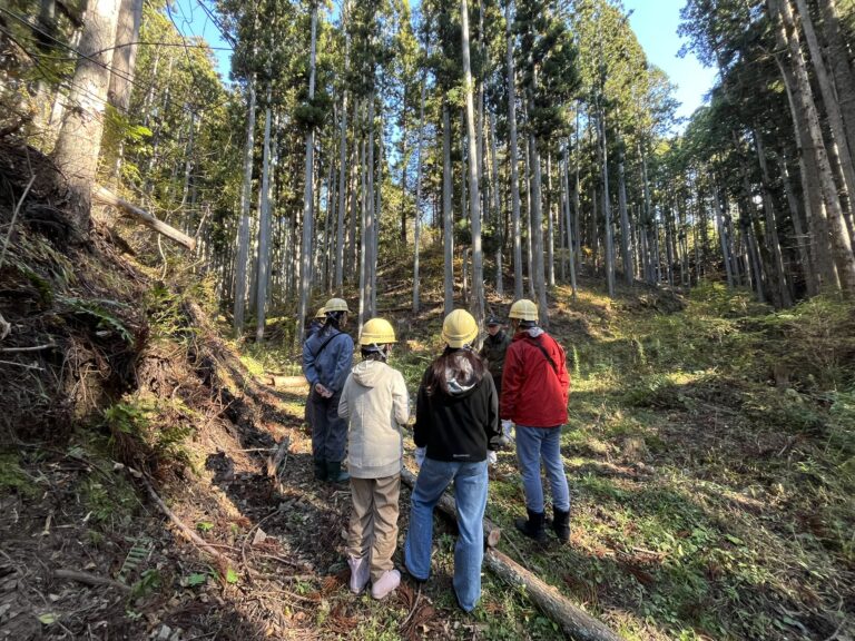 大黒柱伐採（建主さん限定）イベントを行いました！