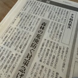 ナラ枯れによる、貴重なナラの床材！